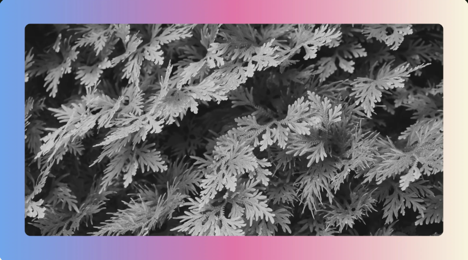 Screenshot 2025-11-14 at 09.56.35