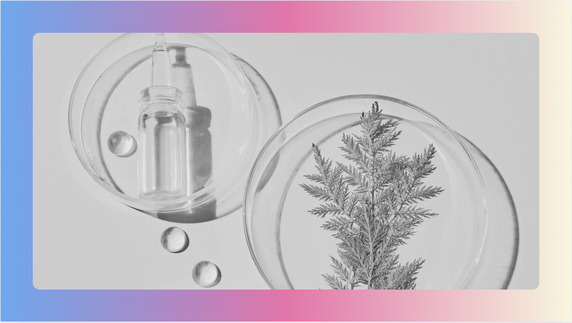 Screenshot 2025-11-12 at 15.47.26