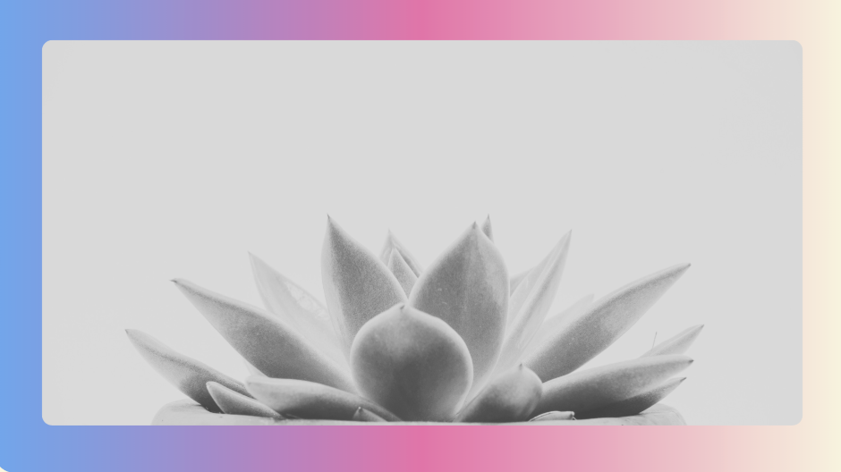 Screenshot 2025-11-17 at 10.20.05